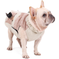 Hot sale pet clothing wholesale uk